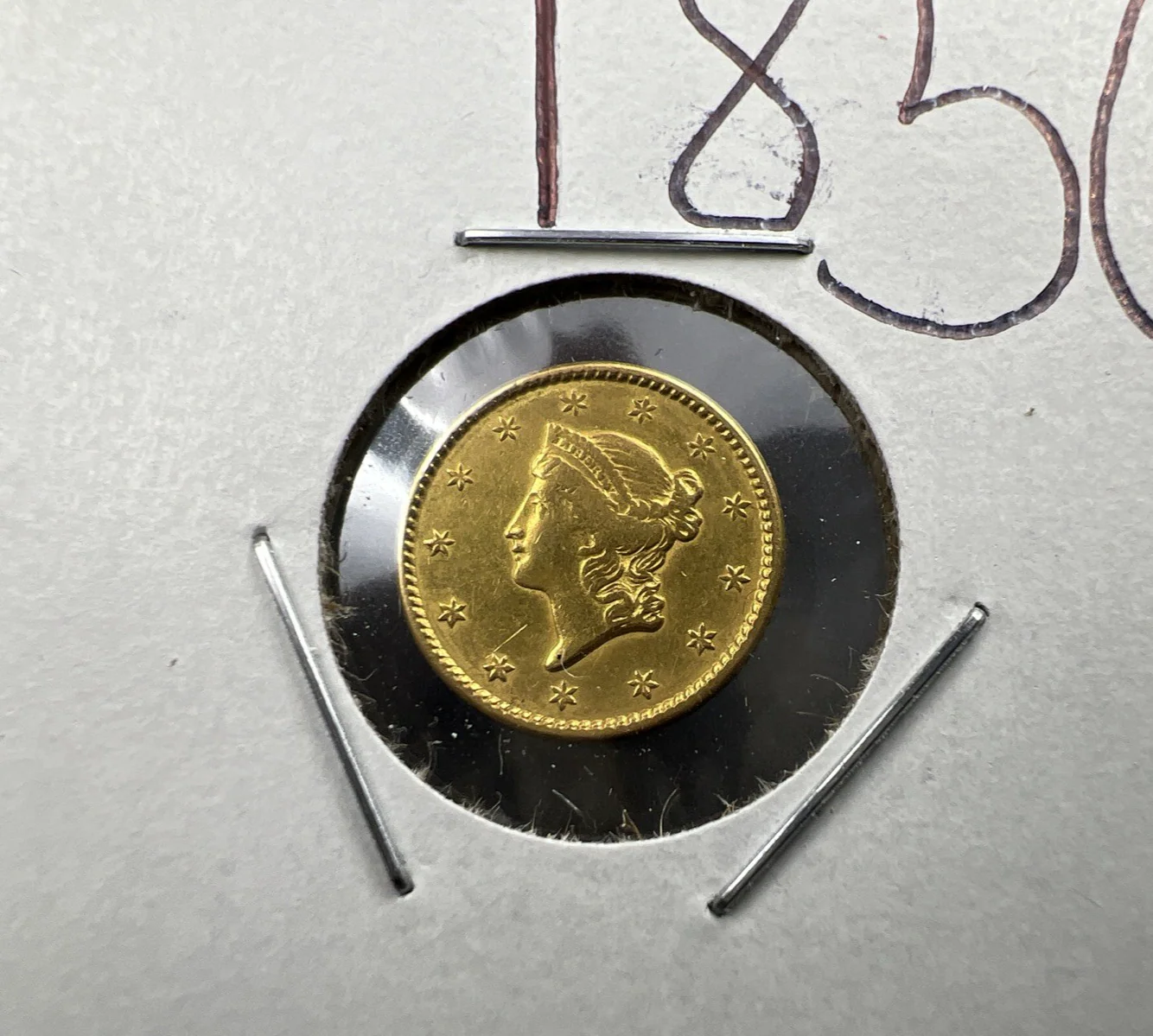 Gold Coins