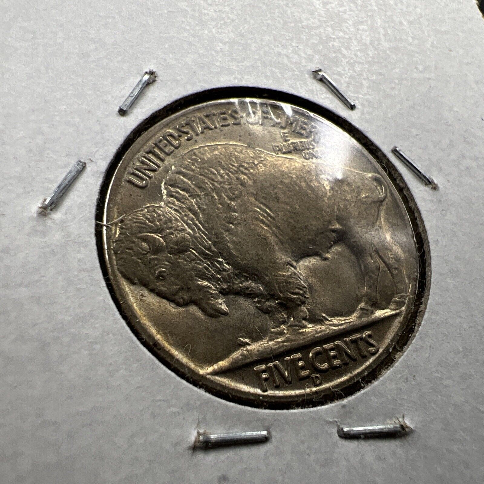 Thumb 5